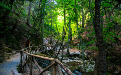 Discovering-the-Enchanting-Butterfly-Valley-of-Rhodes-Island